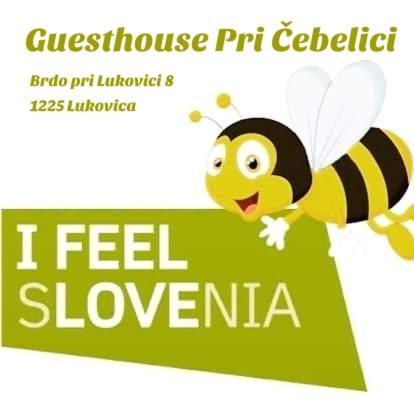 Guesthouse Pri Cebelici Lukovica pri Domžalah Esterno foto